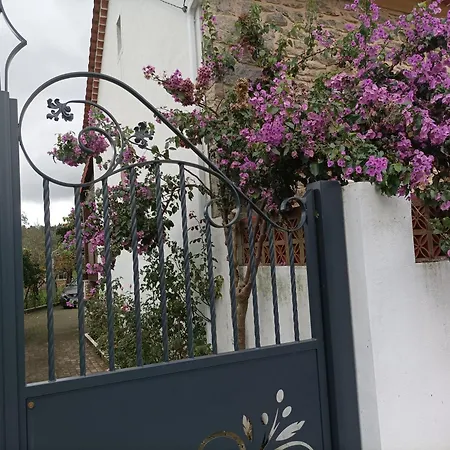 Casa Da Celeste-al Ferreira do Zezere
