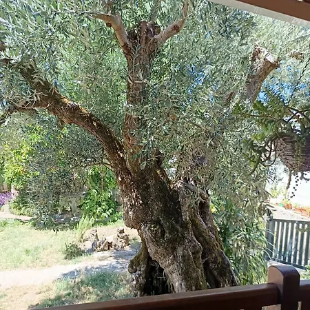 Casa Da Celeste-al Ferreira do Zêzere