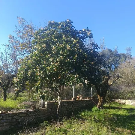 Casa Da Celeste-al * Ferreira do Zezere