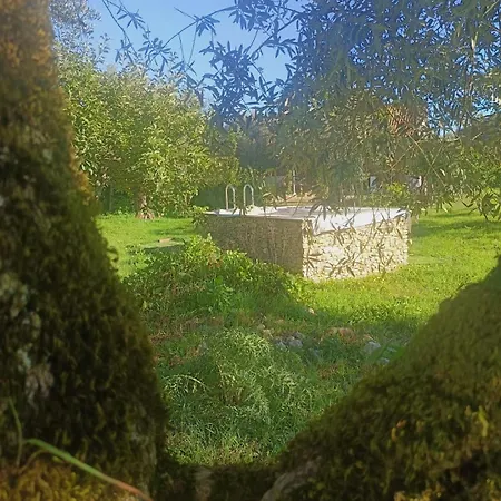 Casa Da Celeste-al Ferreira do Zezere